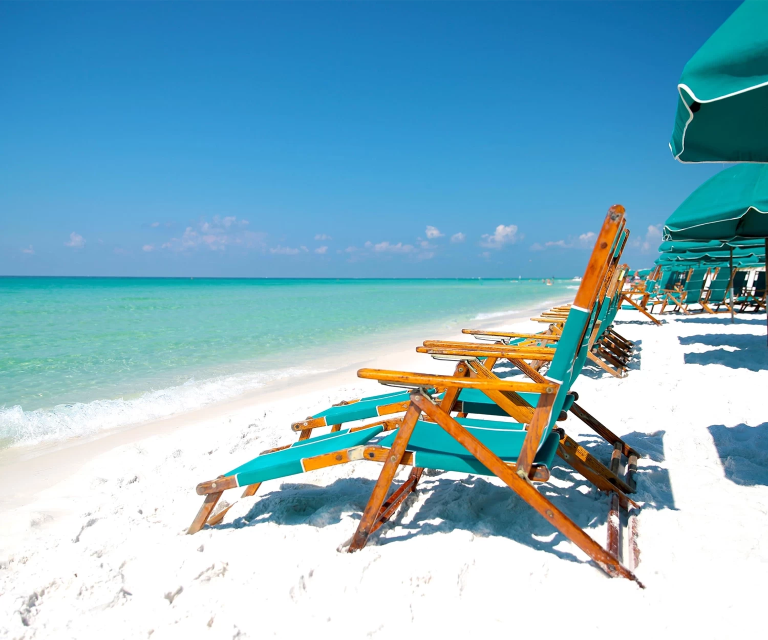 Snowbirds return to Minnesota