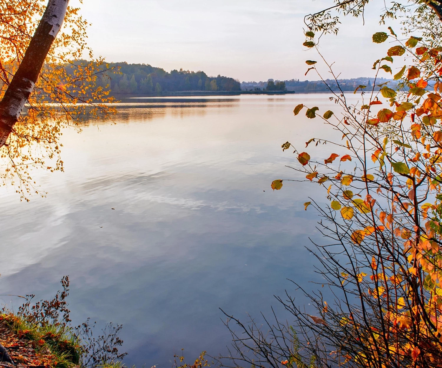 Twin Cities Lake Living
